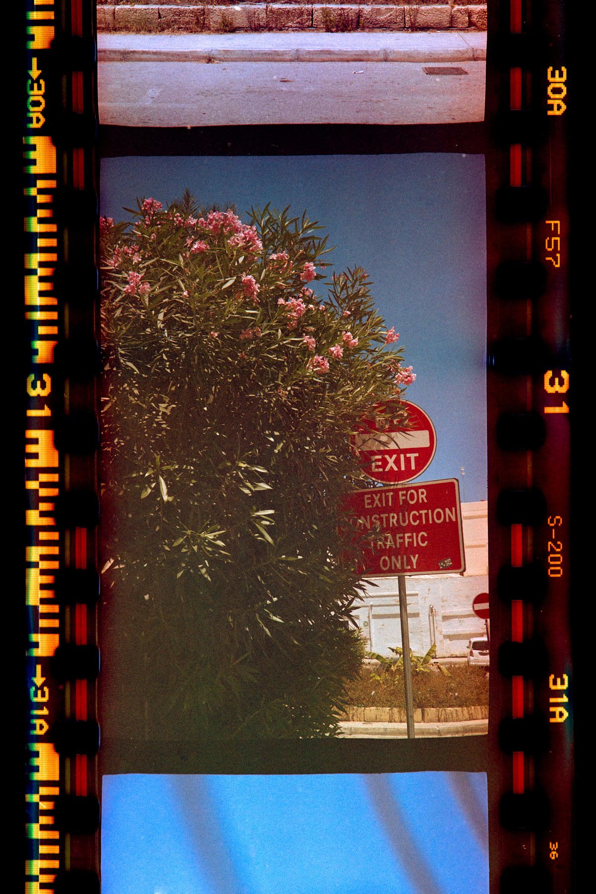 Fujifilm Superia 200 scaduta