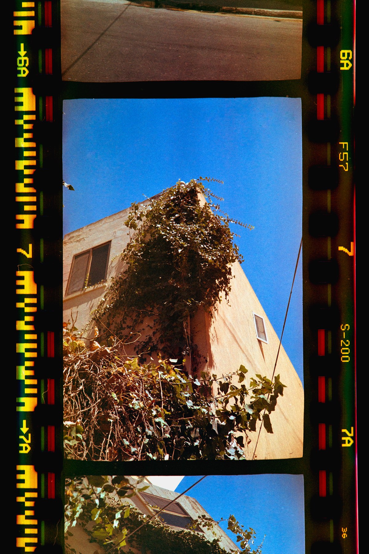 Fujifilm Superia 200 scaduta