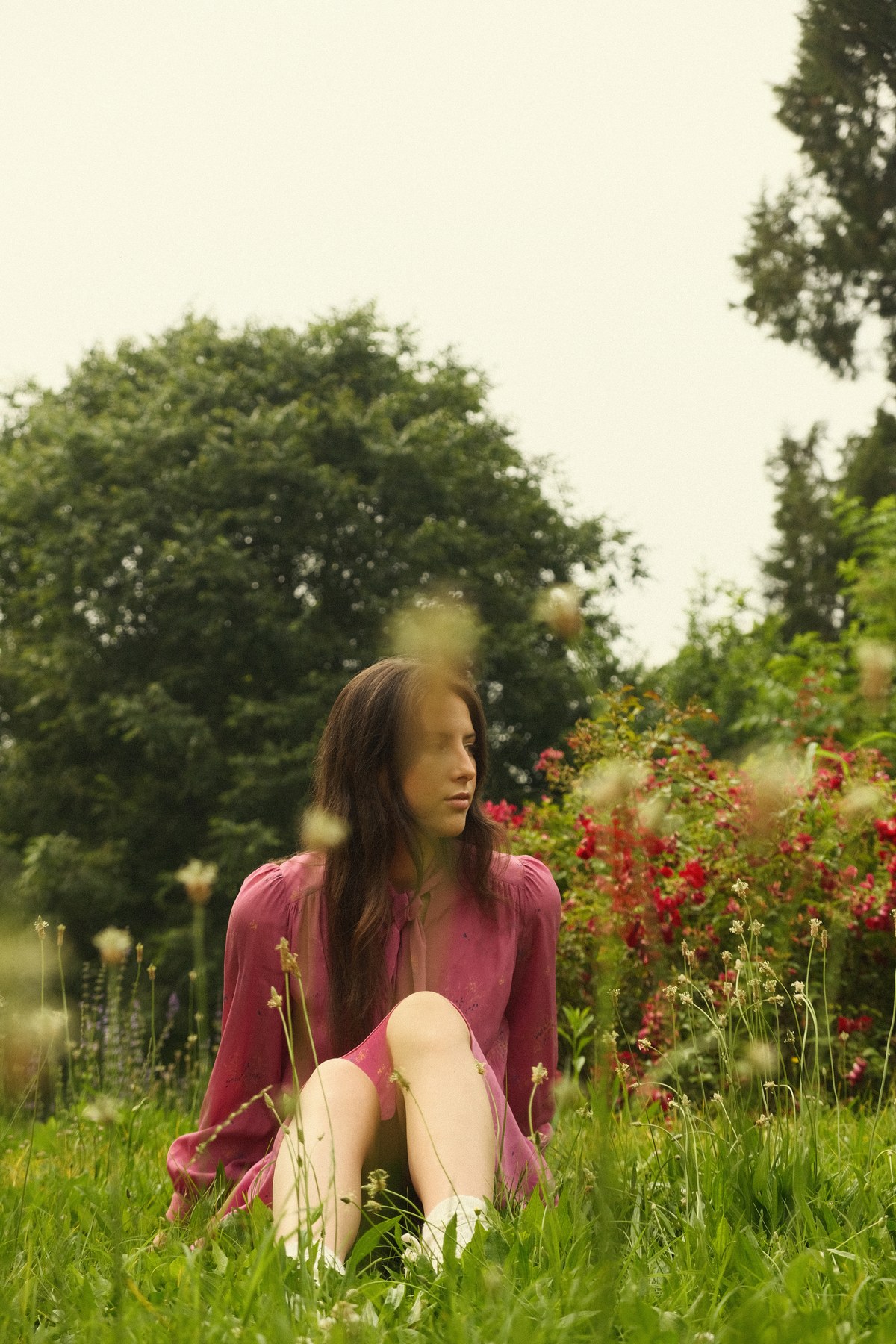 The Intimacy of Humans — Nel prato